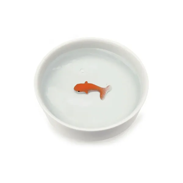 Bols & Coupelles^Sélectionné par Fleux Bol Poisson Rouge Pour Chat