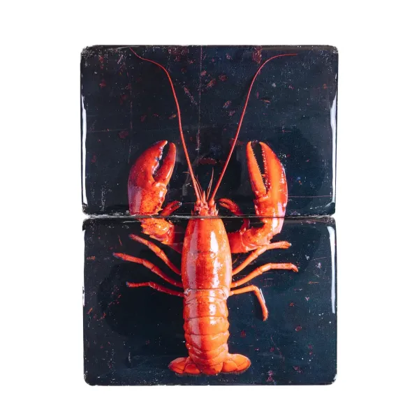 Art Mural^Stigerwoods Décoration Murale Homard Rouge / Fond Noir - 29 X 40 Cm