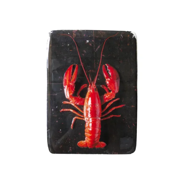 Art Mural^Stigerwoods Décoration Murale Homard Rouge / Fond Noir - 20 X 29 Cm