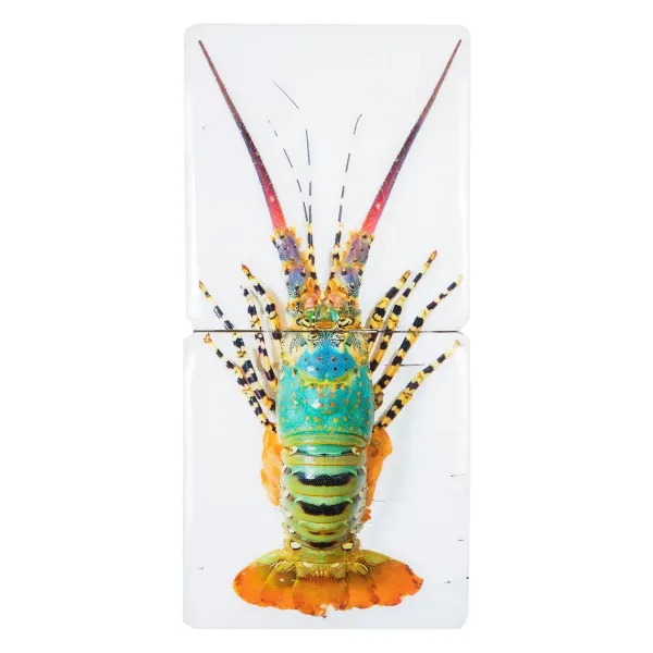 Art Mural^Stigerwoods Décoration Murale Jual Homard Laut 2 - 20 X 40 Cm