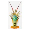 Art Mural^Stigerwoods Décoration Murale Jual Homard Laut - 20 X 40 Cm