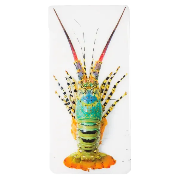 Art Mural^Stigerwoods Décoration Murale Jual Homard Laut - 20 X 40 Cm