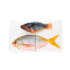 Art Mural^Stigerwoods Décoration Murale Poisson Perroquet Et Fusilier Sur Fond Blanc - 40 Cm X 24 Cm