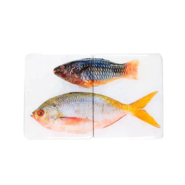 Art Mural^Stigerwoods Décoration Murale Poisson Perroquet Et Fusilier Sur Fond Blanc - 40 Cm X 24 Cm