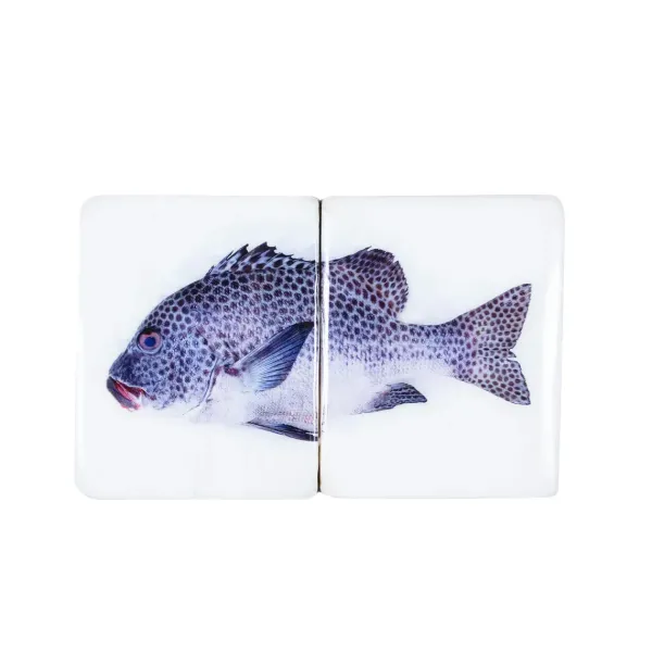 Art Mural^Stigerwoods Décoration Murale Poisson Arlequin Sur Fond Blanc - 40 Cm X 20 Cm