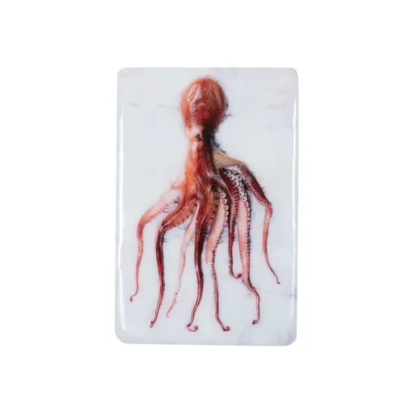 Art Mural^Stigerwoods Décoration Murale Poulpe Portugais Rouge Sur Fond Blanc - 20 X 29 Cm