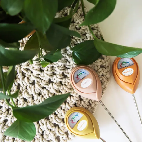 Pots & Jardinières^Jungle Club Humidimetre Vert