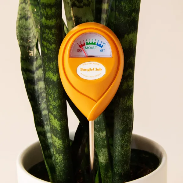 Pots & Jardinières^Jungle Club Humidimetre Vert