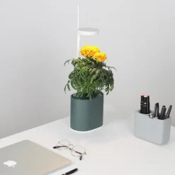 Pots & Jardinières^Prêt à pousser Jardin D'Interieur Connecte Nano Garden - Vert Foret