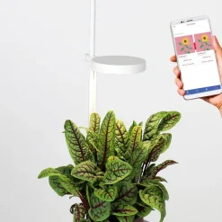 Pots & Jardinières^Prêt à pousser Jardin D'Interieur Connecte Nano Garden - Vert Foret