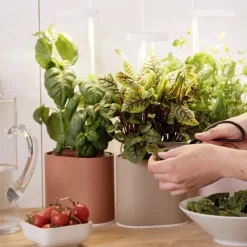 Pots & Jardinières^Prêt à pousser Jardin D'Interieur Connecte Nano Garden - Terracotta