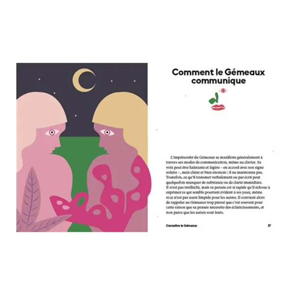 Livres^Hachette Livre Astrologie Signe Gemeaux