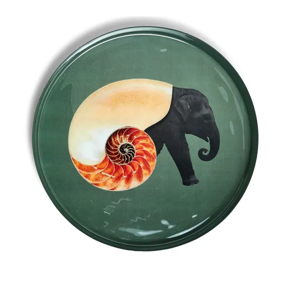 Plats & Plateaux^Gangzai Plateau Rond Shellphant