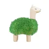 Pots & Jardinières^Sélectionné par Fleux Pot / Jardiniere Chia Lama