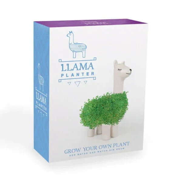 Pots & Jardinières^Sélectionné par Fleux Pot / Jardiniere Chia Lama