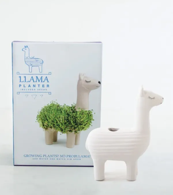 Pots & Jardinières^Sélectionné par Fleux Pot / Jardiniere Chia Lama