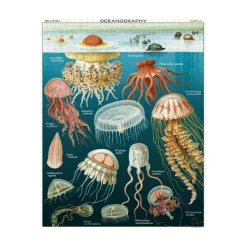 Puzzles^Sélectionné par Fleux Puzzle Meduses - 1000 Pieces