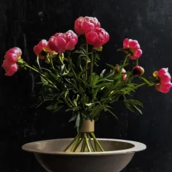 Pots & Jardinières^Sélectionné par Fleux Set De 2 Hanataba - O 65 & O 47 Mm Rose