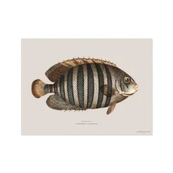 Sets De Table & Dessous De Verre^Pôdevache Set De Table Rectangle Poisson Avadi - 33 X 45 Cm