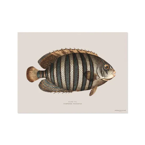 Sets De Table & Dessous De Verre^Pôdevache Set De Table Rectangle Poisson Avadi - 33 X 45 Cm