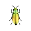 Art Mural^Assembli Trophee Origami Coleoptere Mango Vert